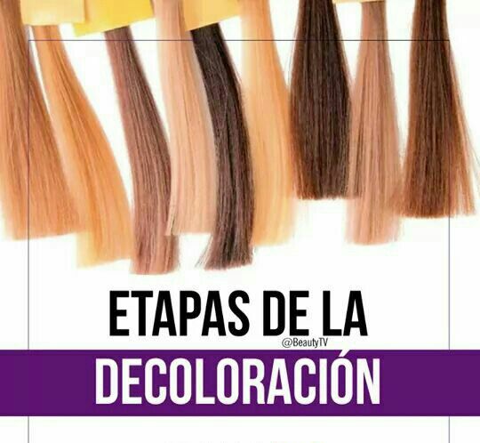 Etapas De Una Decoloracion De Cabello
