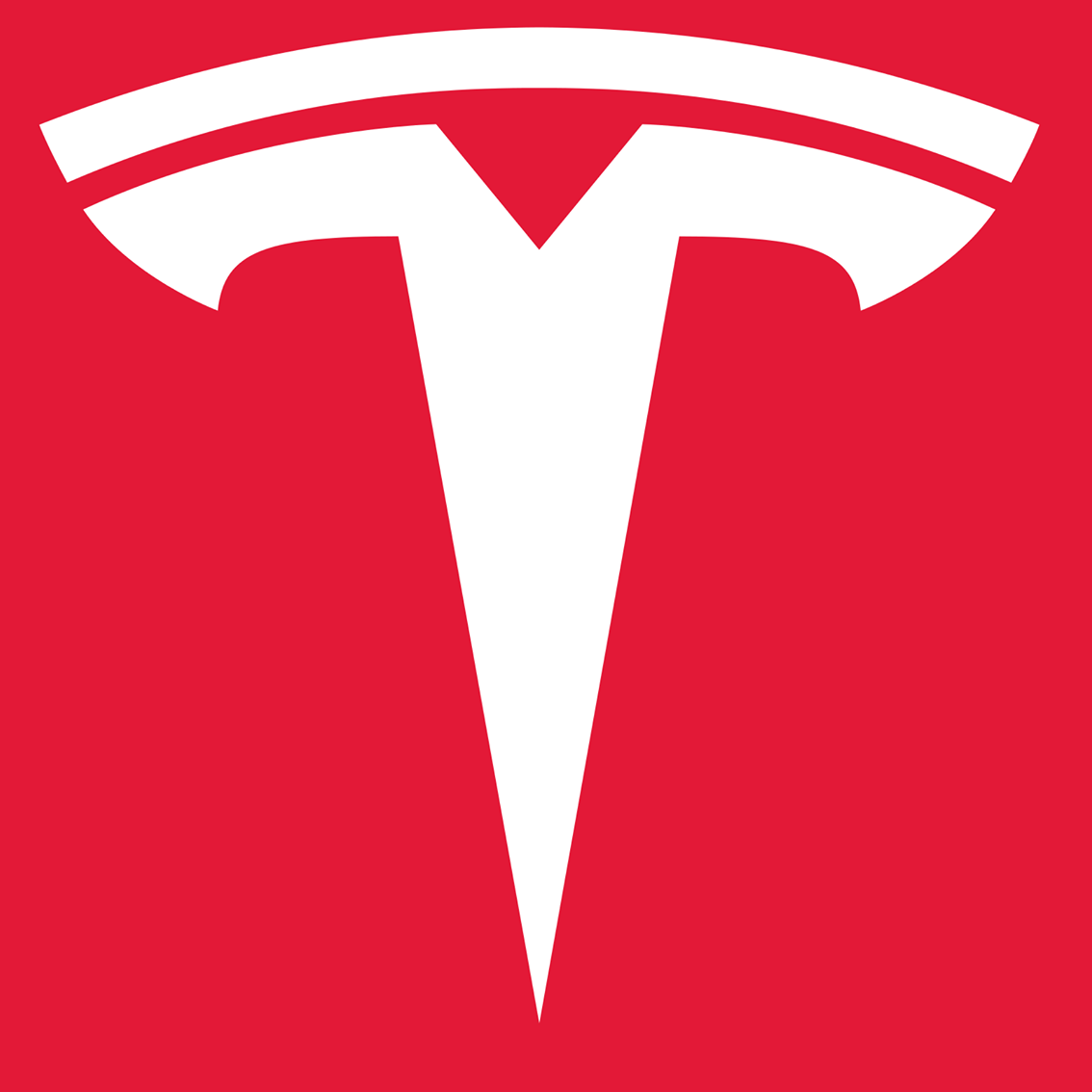 Tesla automobiles Nz