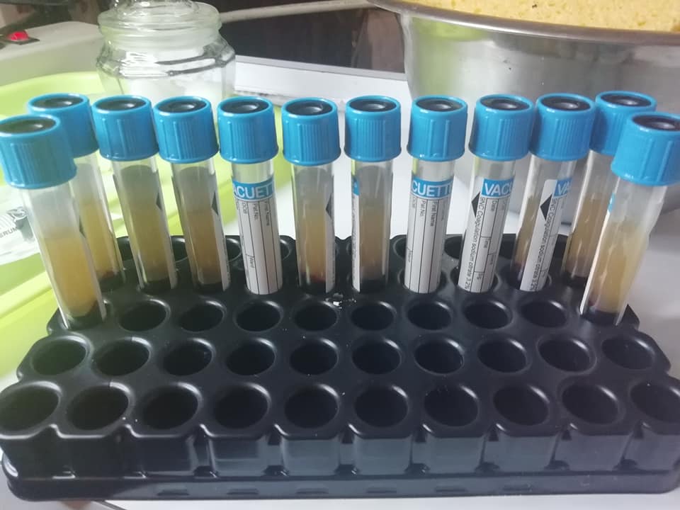 Clinica Medica Internacional Para Bajar De Peso