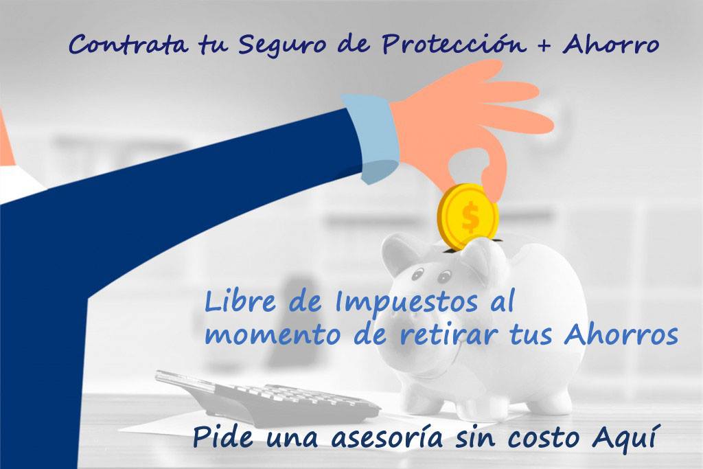 Cotiza Tu Seguro De Vida