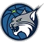 Minnesota Lynx
