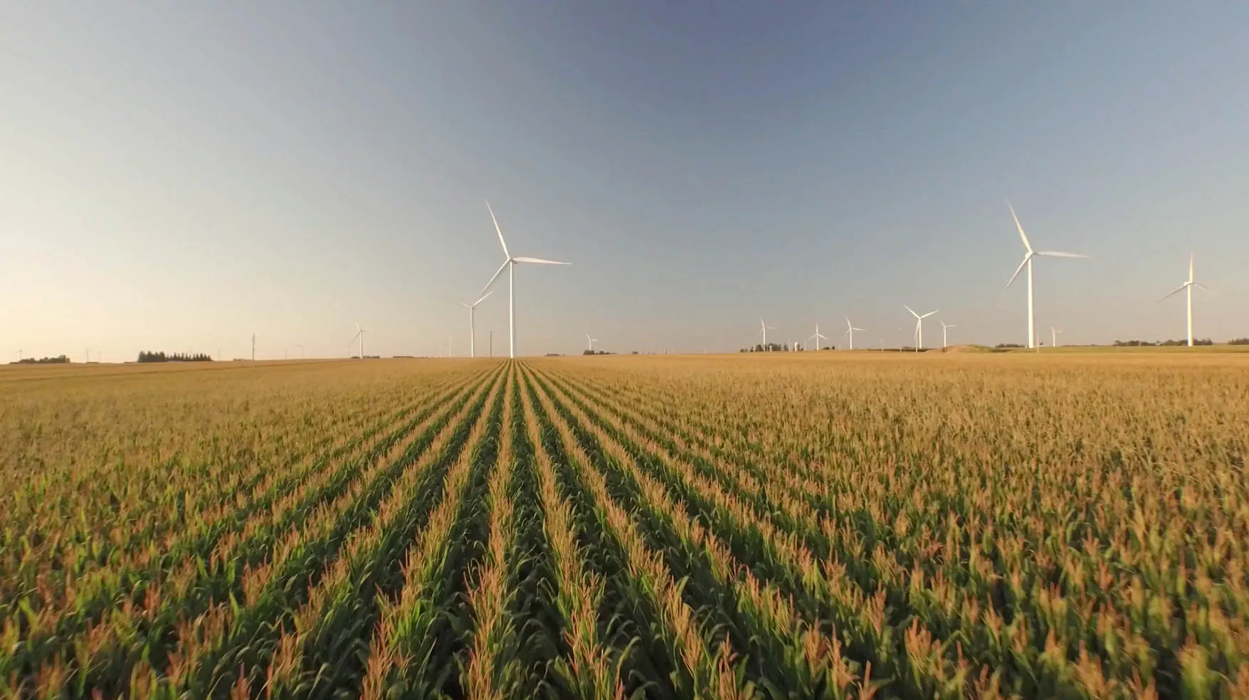 Windturbinen in Iowa