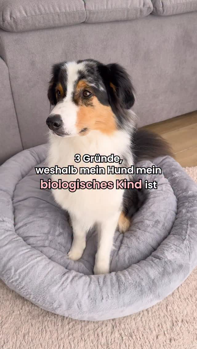 korb aufbewahrung ikea Billy Regalkorb aus Wasserhyazinthe 4er-Set