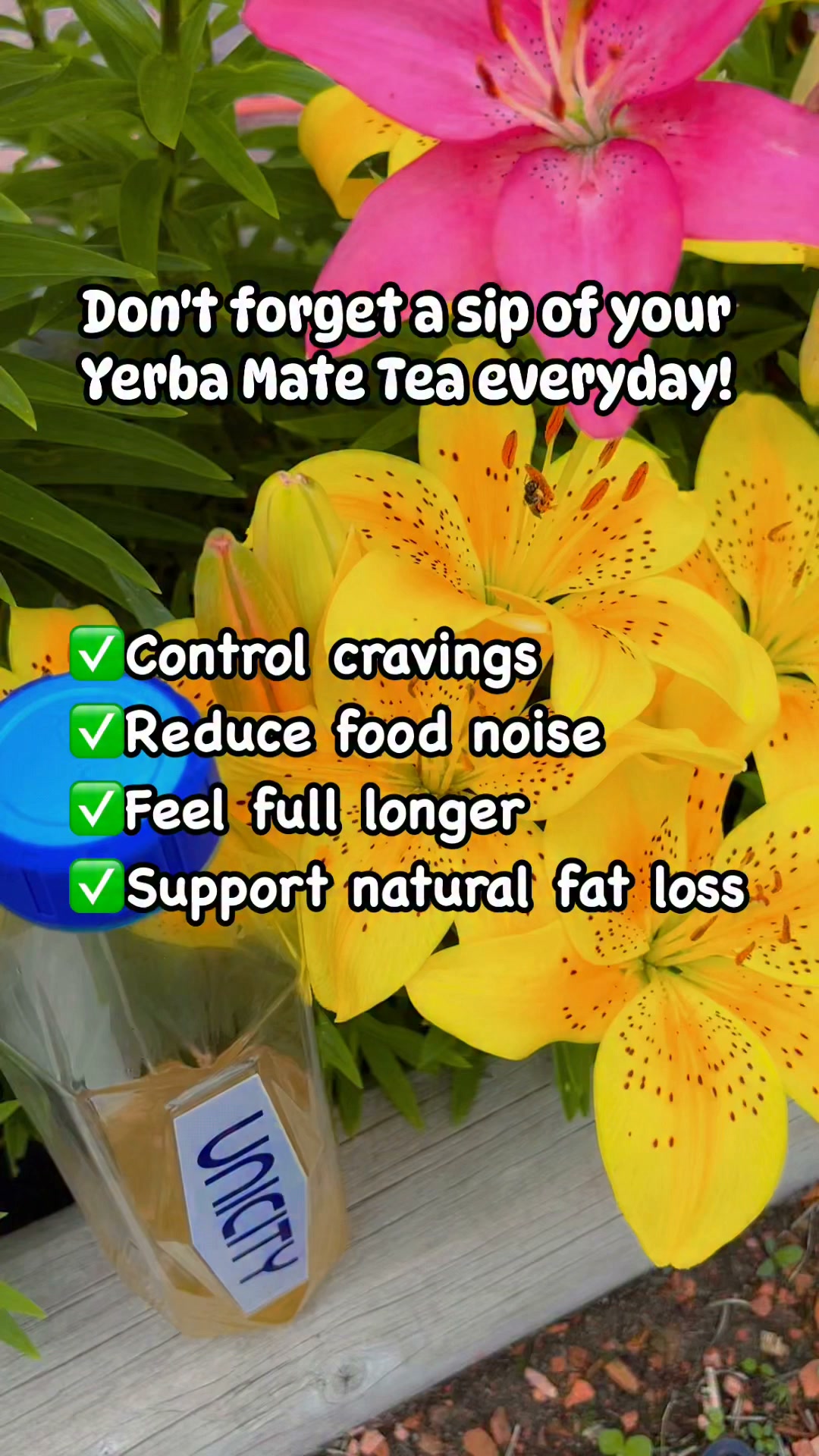 glp-1 mate tea Yerba supplements cannot replicate effects of agonists Brainista Yerba Magic – Yerba