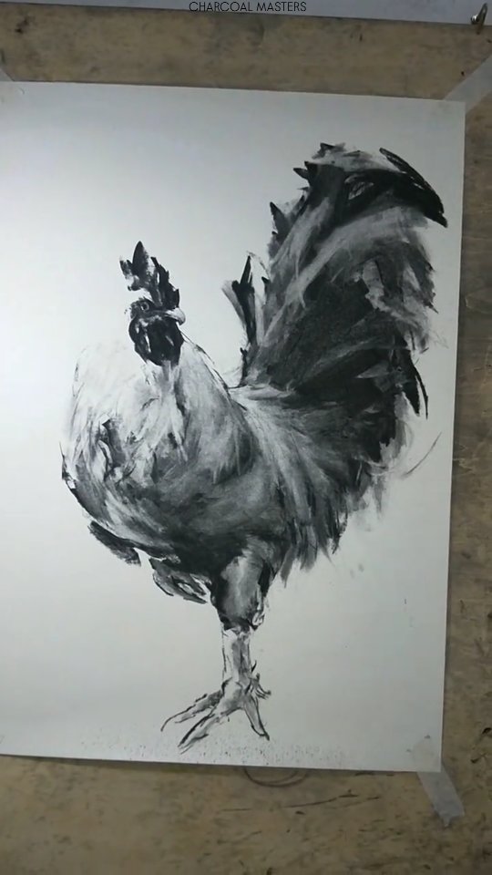 🐓 Bold in Black & White — Rooster in Motion by artist Pheonix (Douyin ...