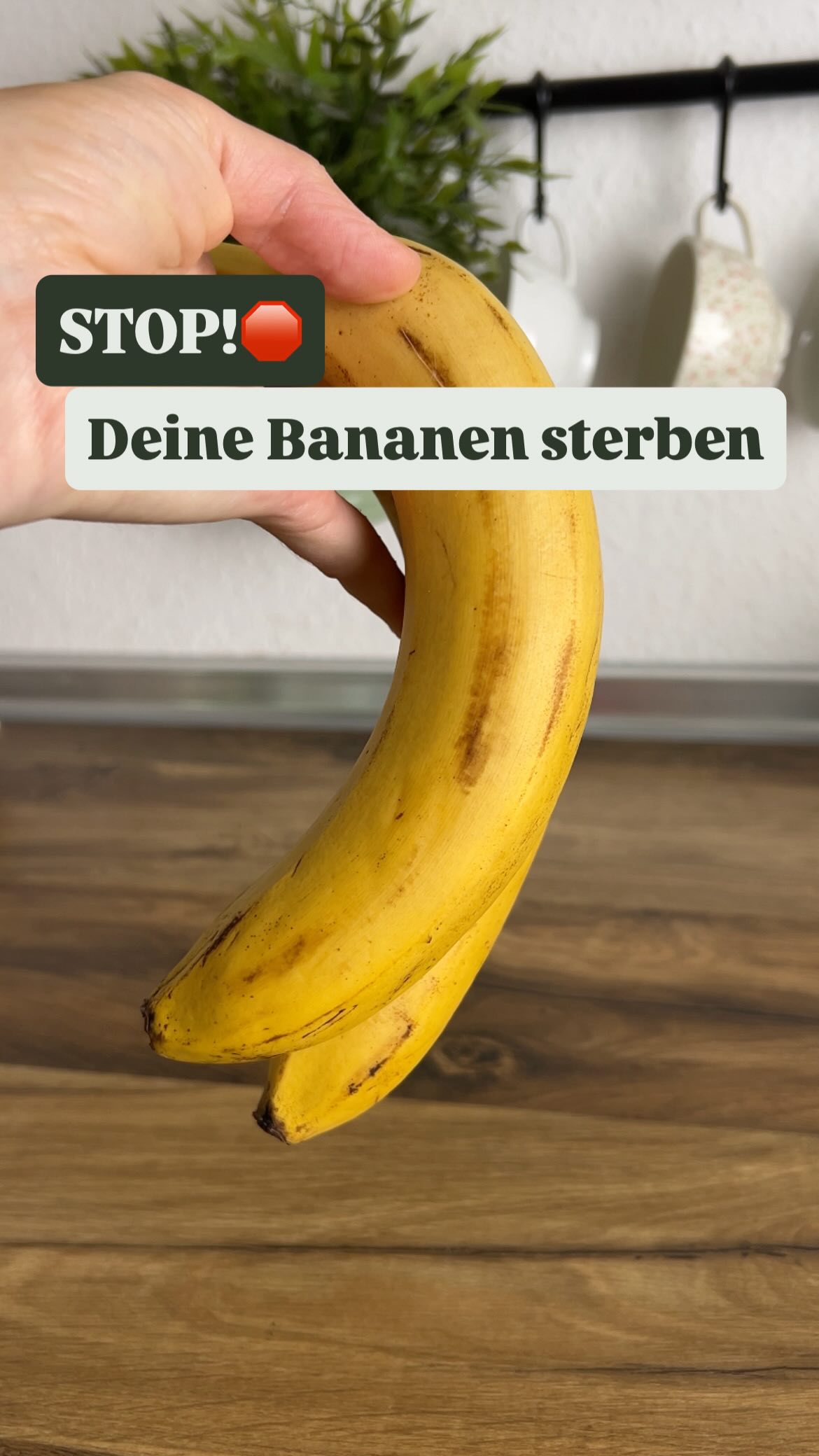 lebensmittel luftdicht aufbewahren ZgoEC Mehl Aufbewahrung Behälter 4.5+2.8L, Müslispender mit Flip-top Deckel Schreibtisch 10 Feilen mit ergonomischem Größe:120 Liter