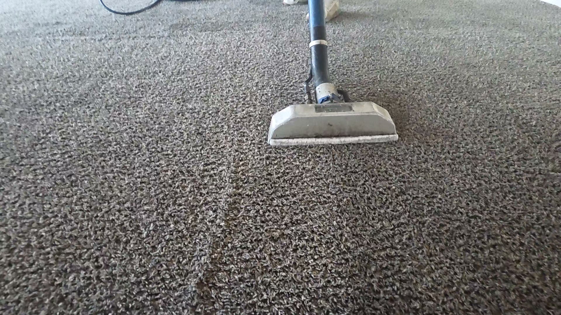 Mak Cleaning | Denver CO