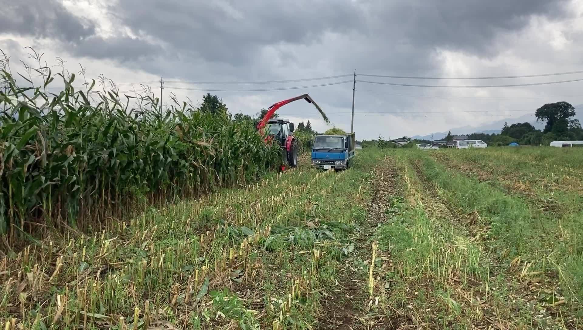 KUHN コーンハーベスターMC180SQ】 皆さん、こんにちは。 収穫作業は 