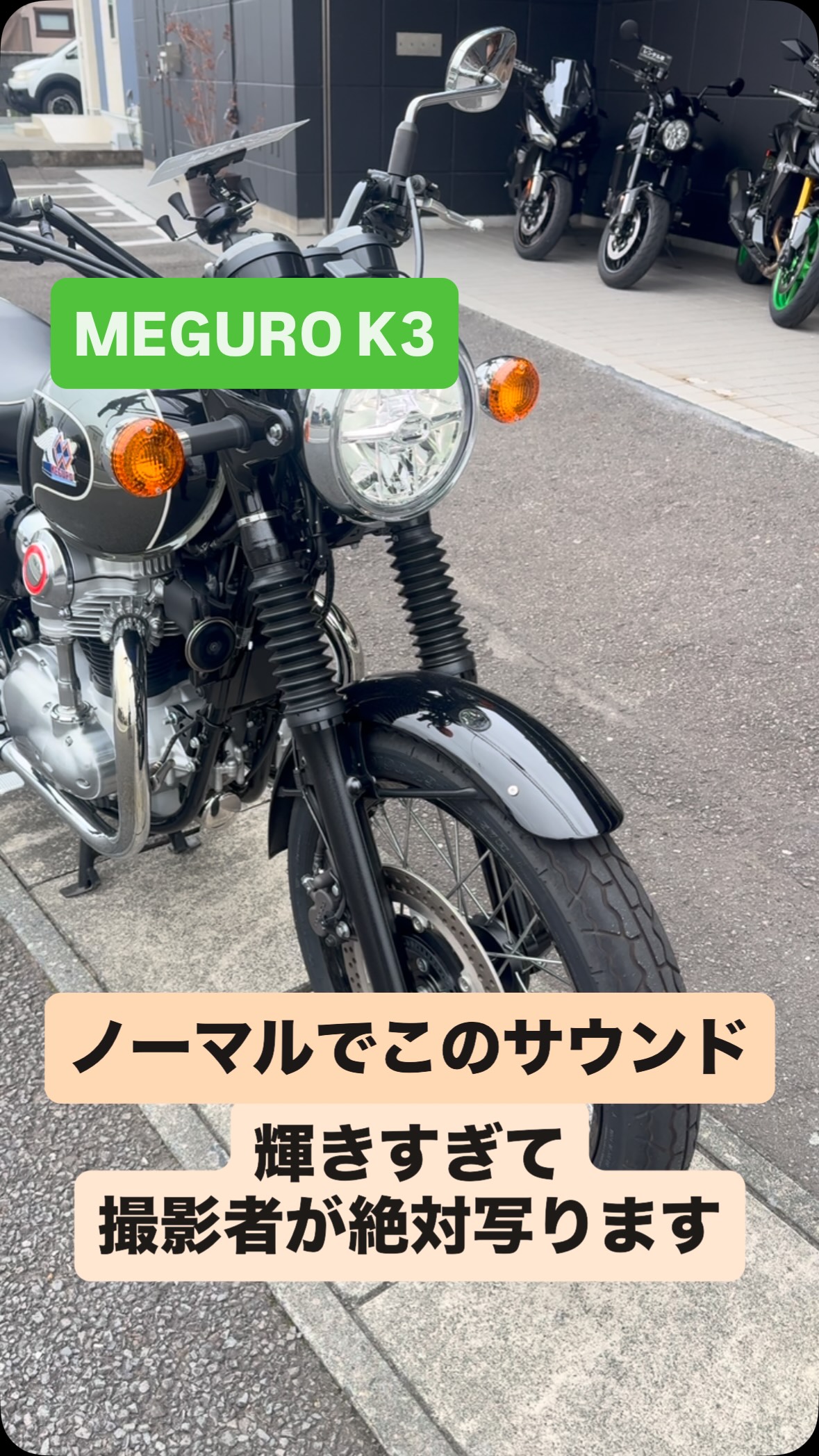 ?media_id=1005513832513460&