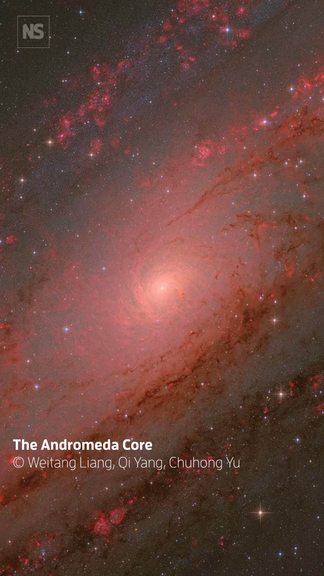 Stunning images from the world's biggest space photography competition ...