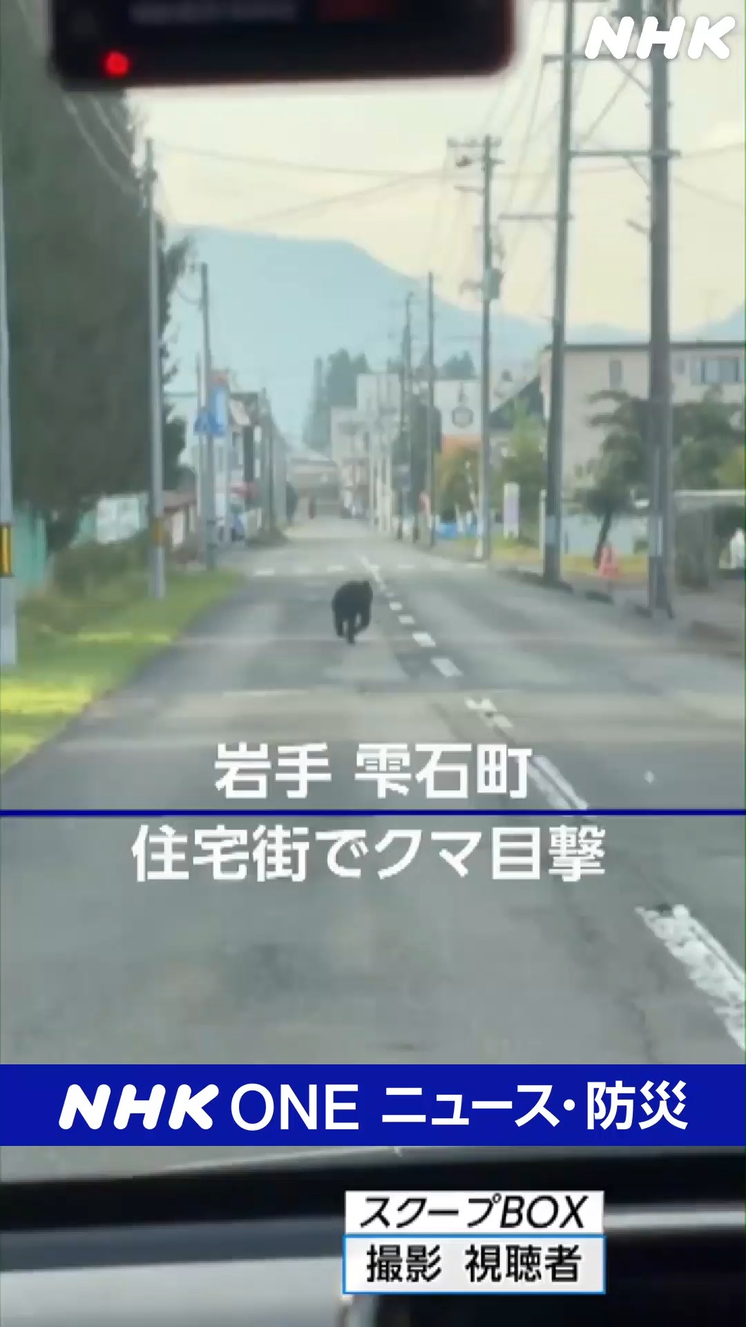 公の場での発言・インタビュー報道記録