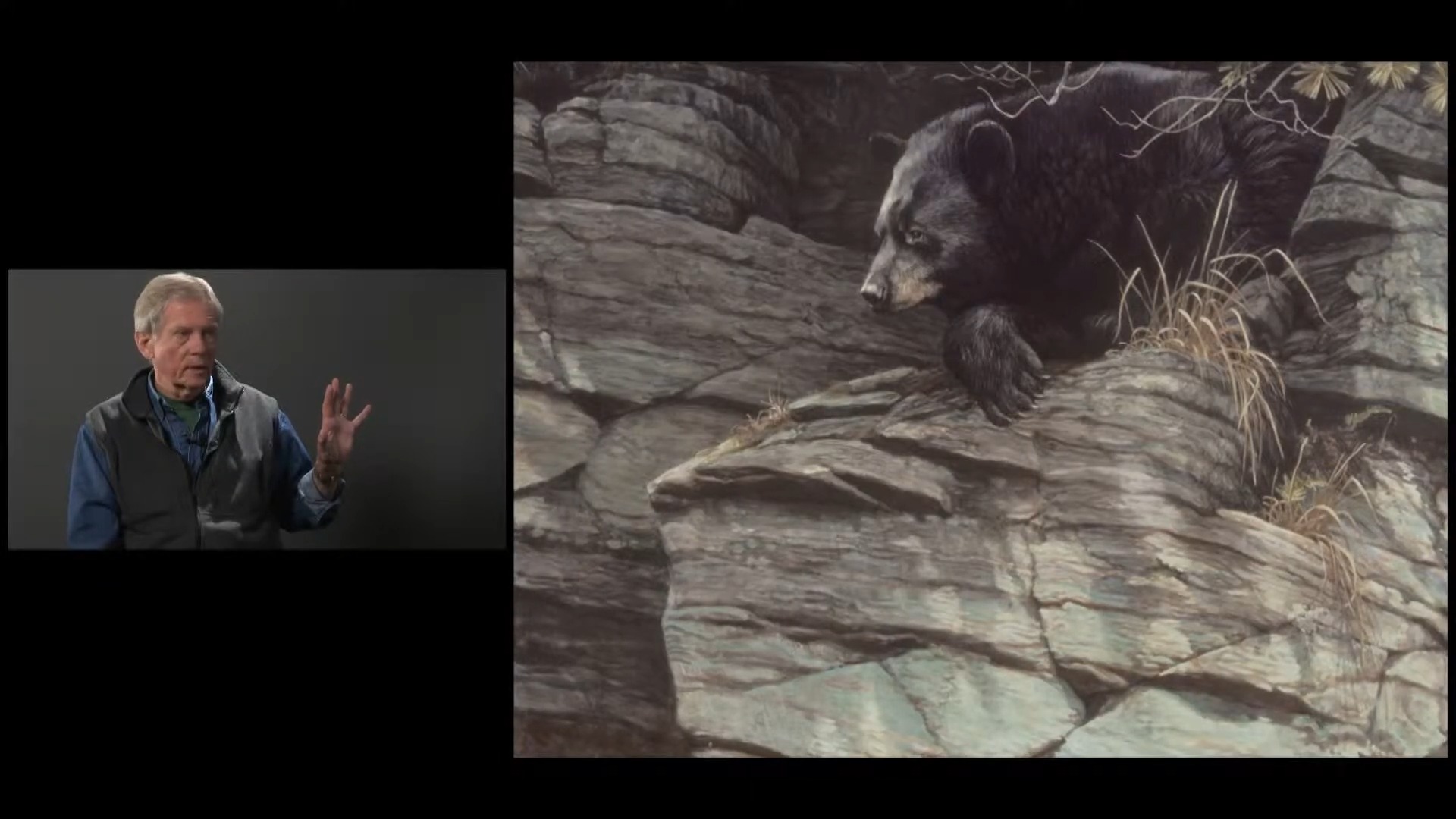 Artist Robert Bateman discussing his painting, 