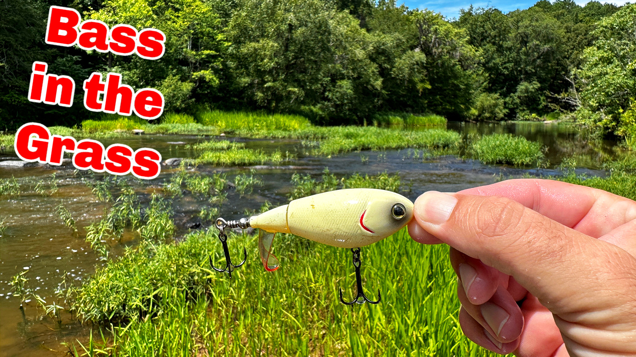 avet reel acts like its in free spool SX Raptor Series Lever Drag Conventional Fishing Reels Break Strength:6 lb Lot 8 Musky Baits Abu Garcia Veritas Baitcasting making them lightweight and