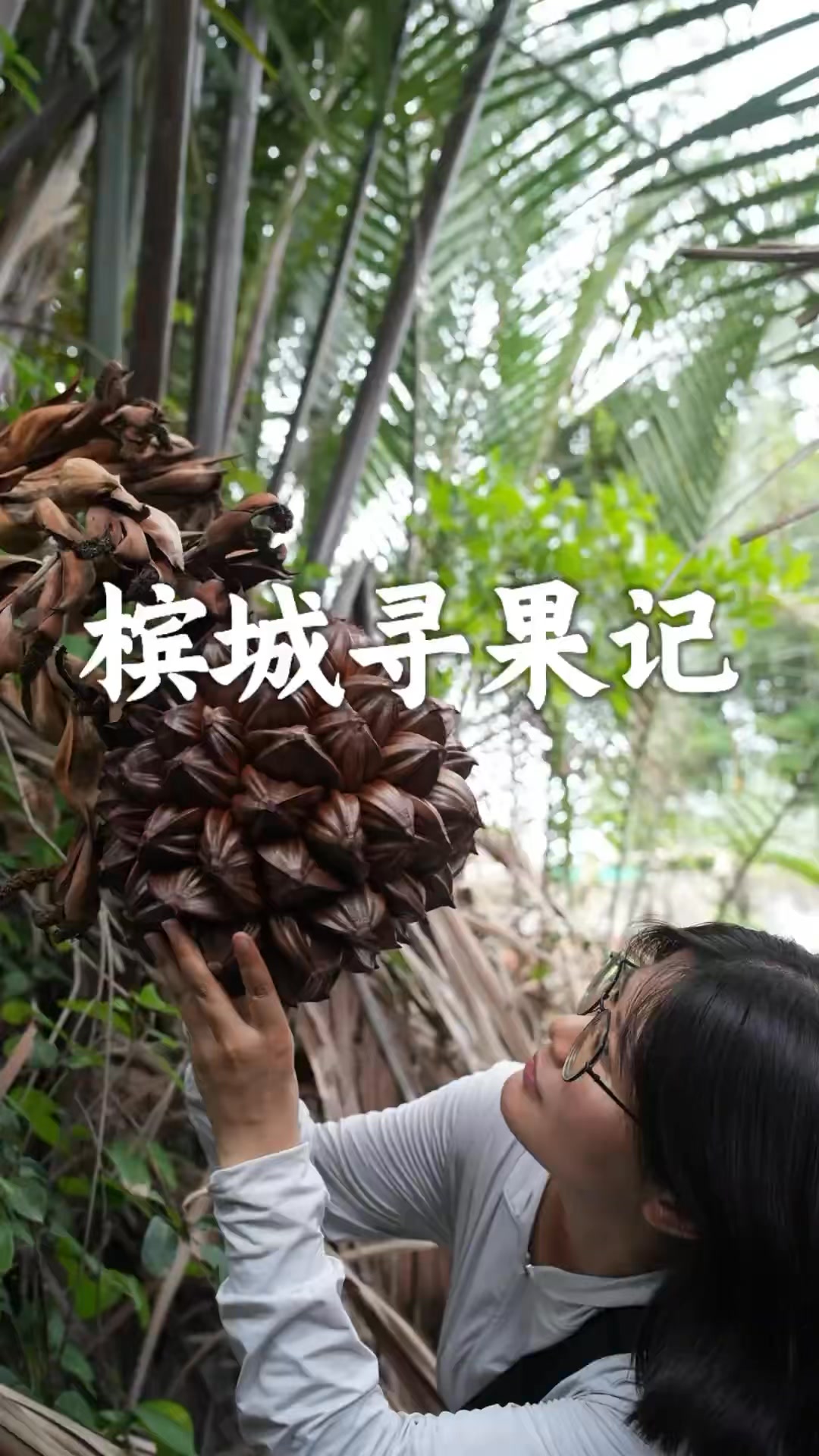 马来西亚槟城寻果记 第八集：槟城篇 偶遇奇特植物水椰子和一群热情友善的华人叔叔阿姨。#植物科普#水椰子#亚答子#热带植物 | 冷暖自知-家常菜 ...