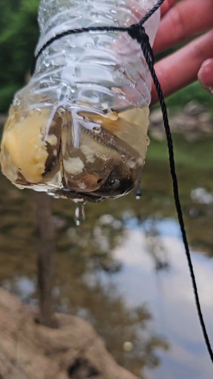 diy cookie fishing reels Rod Cutter Please leave the name and age at checkout. Reeling in the Big One
