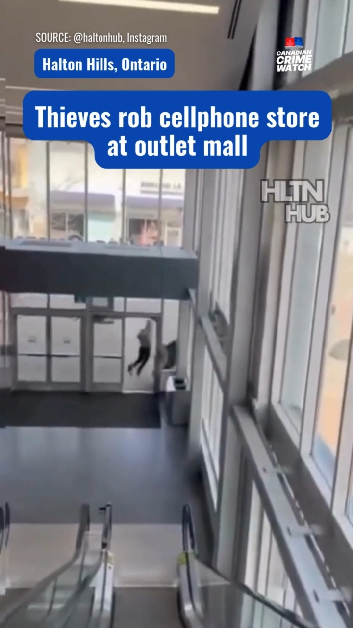A group of people stormed the Telus store at Toronto Premium Outlets in ...