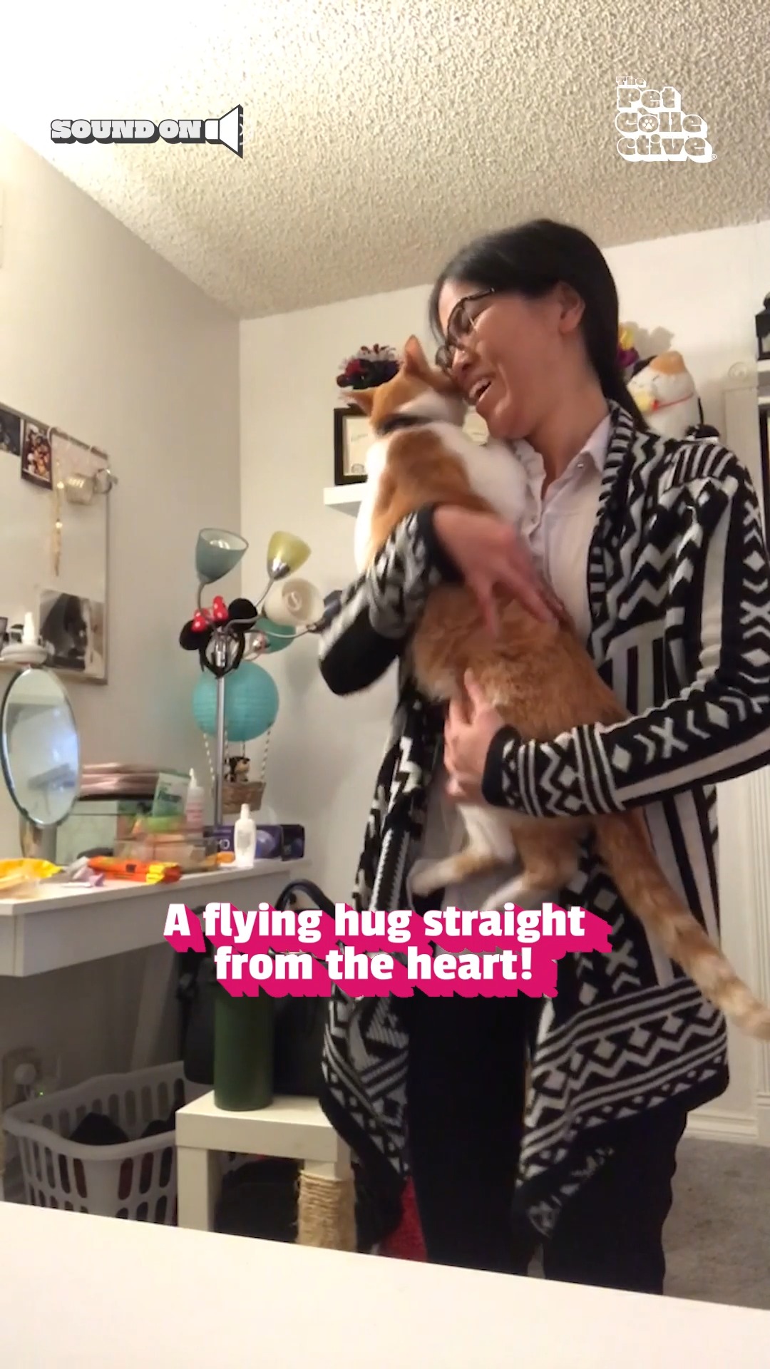 It's National Hug Your Cat Day! We better see you hugging your cat! 🥰🐈🐾 ...