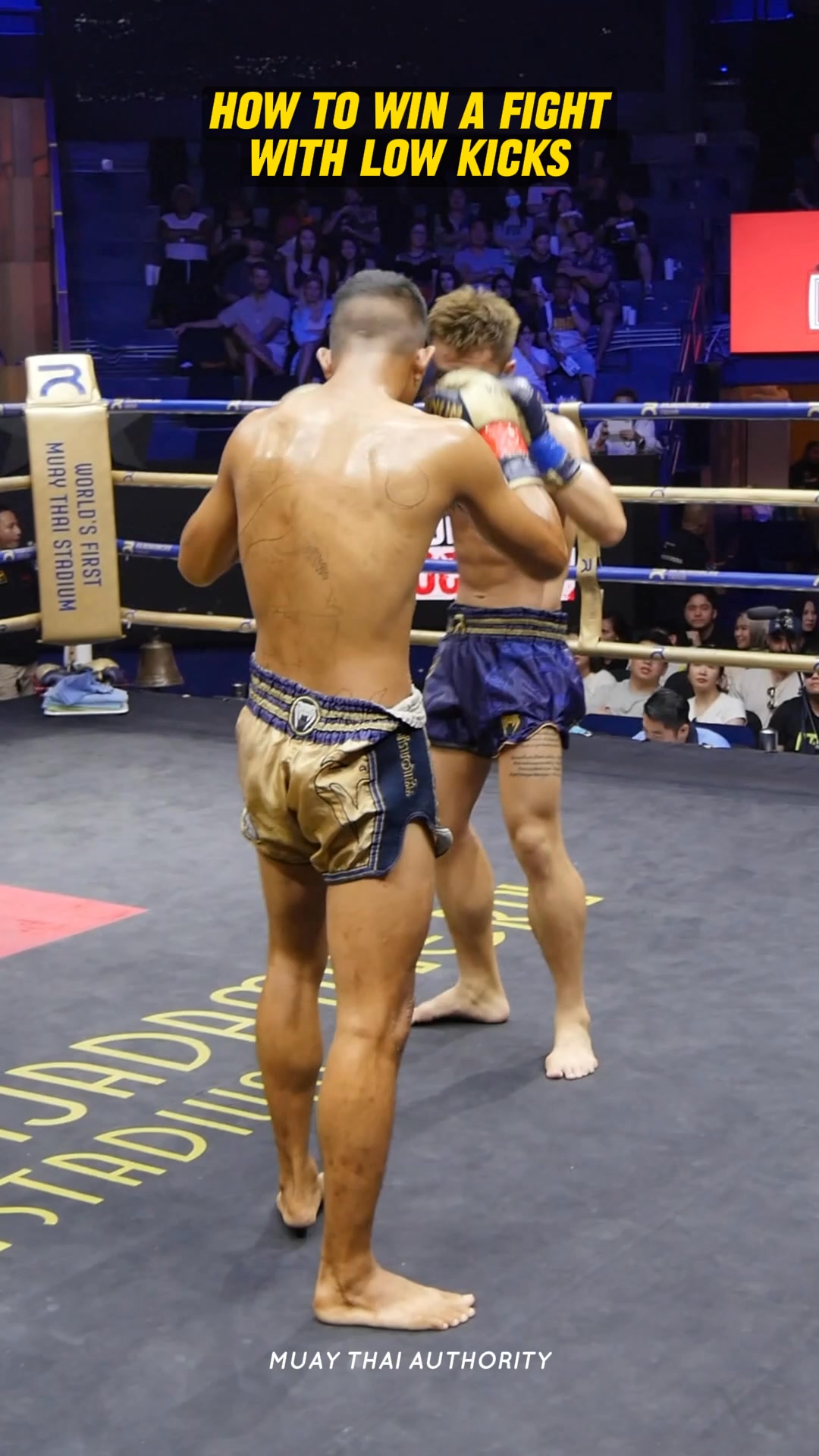 Muay Thai HARDCORE with 4oz gloves 🔥 #muaythai #muaythaifighter