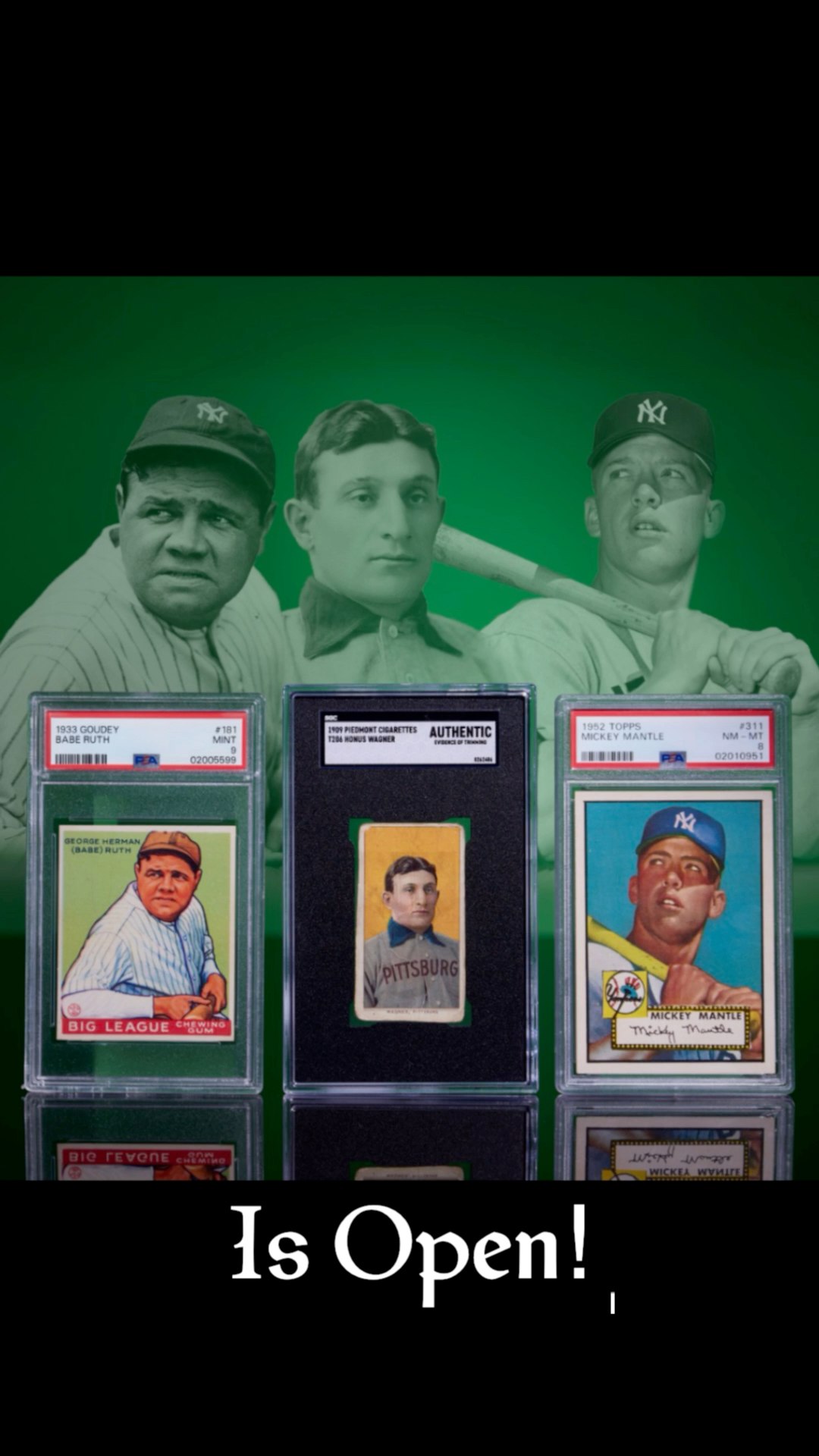Our Summer Platinum Auction is open for bidding! Packed full of