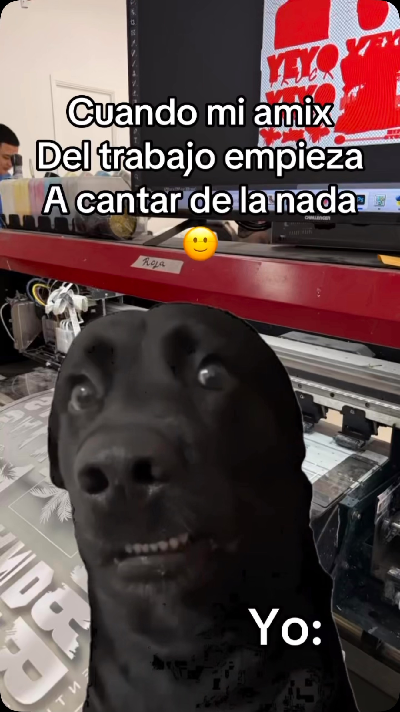 Uno queda ice, frío, hielo 🧊 #humor #dtf #cali #colombia # ...