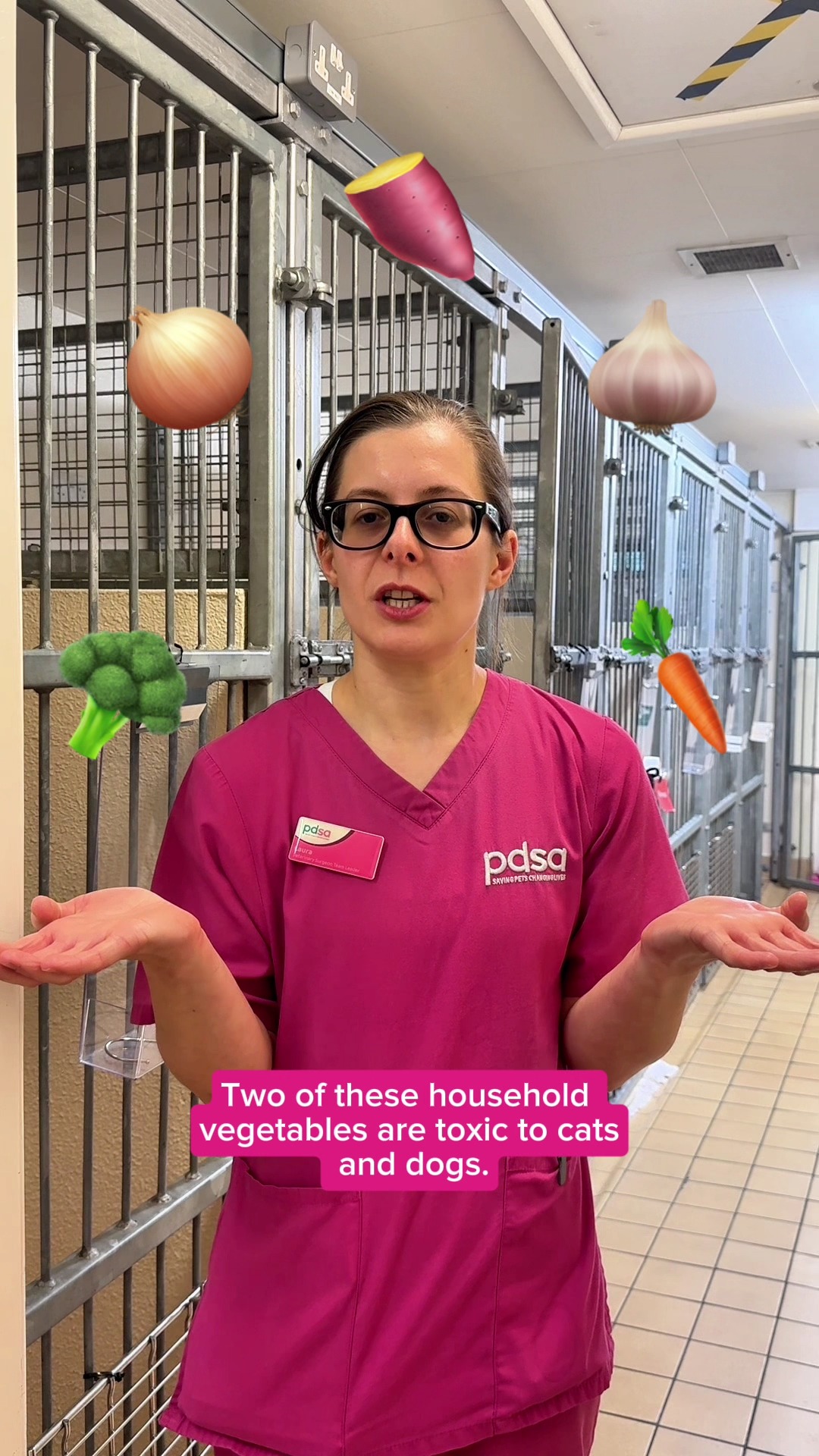Do you know which vegetables are toxic to dogs and cats? Veterinary ...
