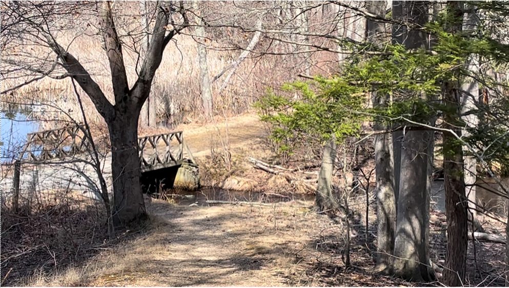 Need tranquility? Soak in the sounds of nature at Mass Audubon Ipswich ...
