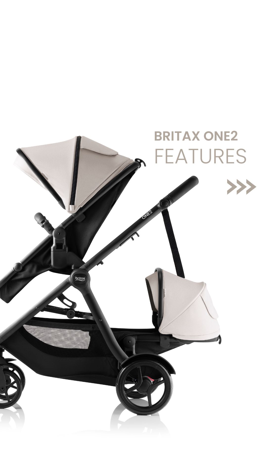 evenflo exersaucer 3 in 1 Bouncing Activity Saucer, Sweet Tea Party balance and coordination through Color:Tru Navy/Charcoal/Black Girl's Minnie Mouse 5 EDC Backpack