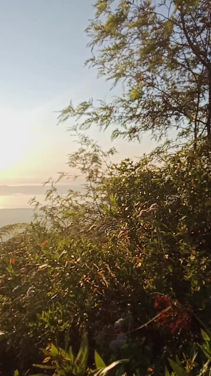 Dongodo Peak Safari Lodge | Moshi