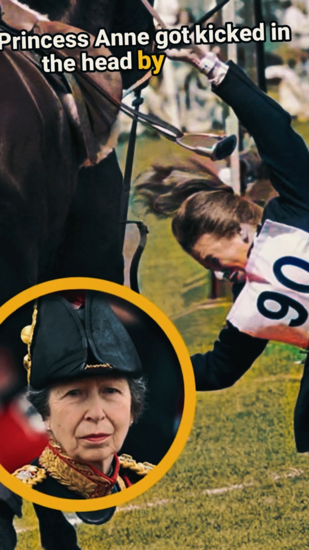 Princess Anne carried on with her duties despite a head injury, while ...