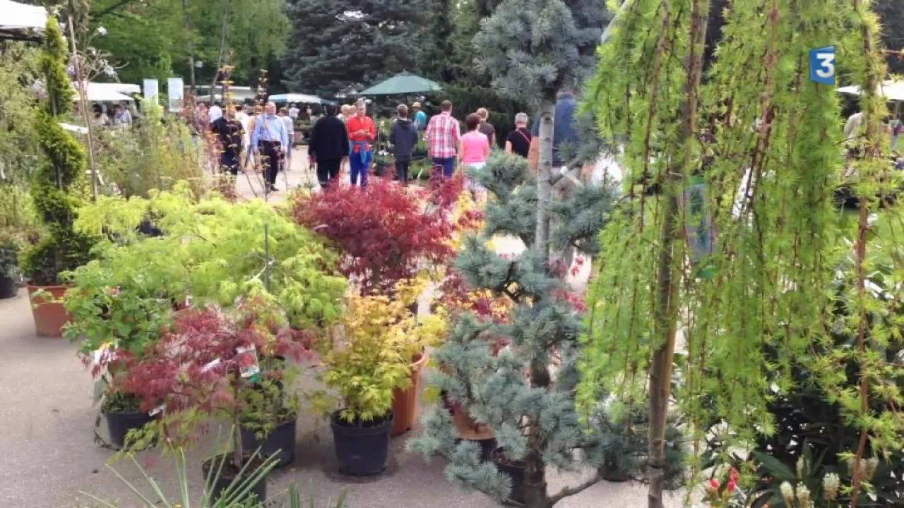 Fete Des Plantes Parc Sainte Marie Nancy 2022