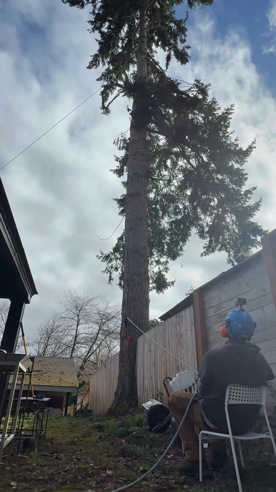 Speedlining branches in a super tight spot! #Speedlining #TreeRigging # ...