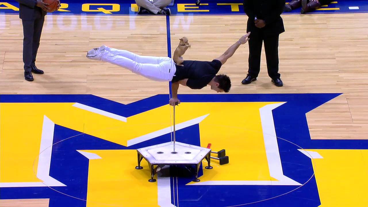 Happy Saturday! Here's a tiny dog showing off some INCREDIBLE acrobatic ...