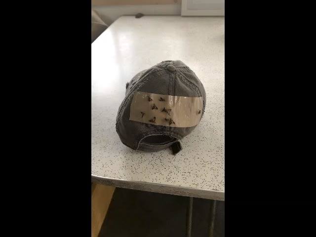 Original Predator Pee Predator Urine Since 1986