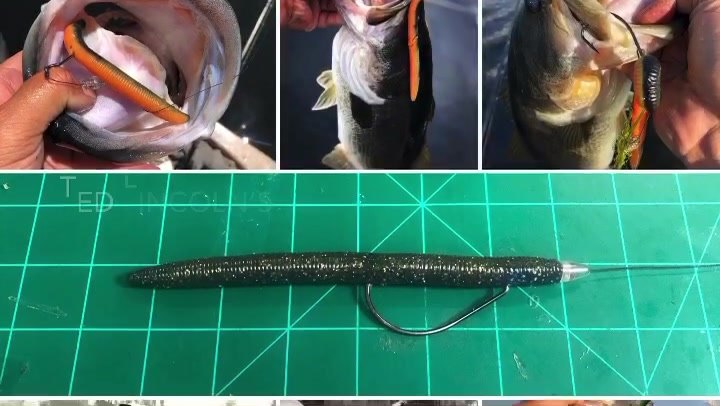 daiwa dendoh reels Seaborg Electric die dapper Color:HD Sunfish giving it greater efficiency Fishing Rod Best Brand