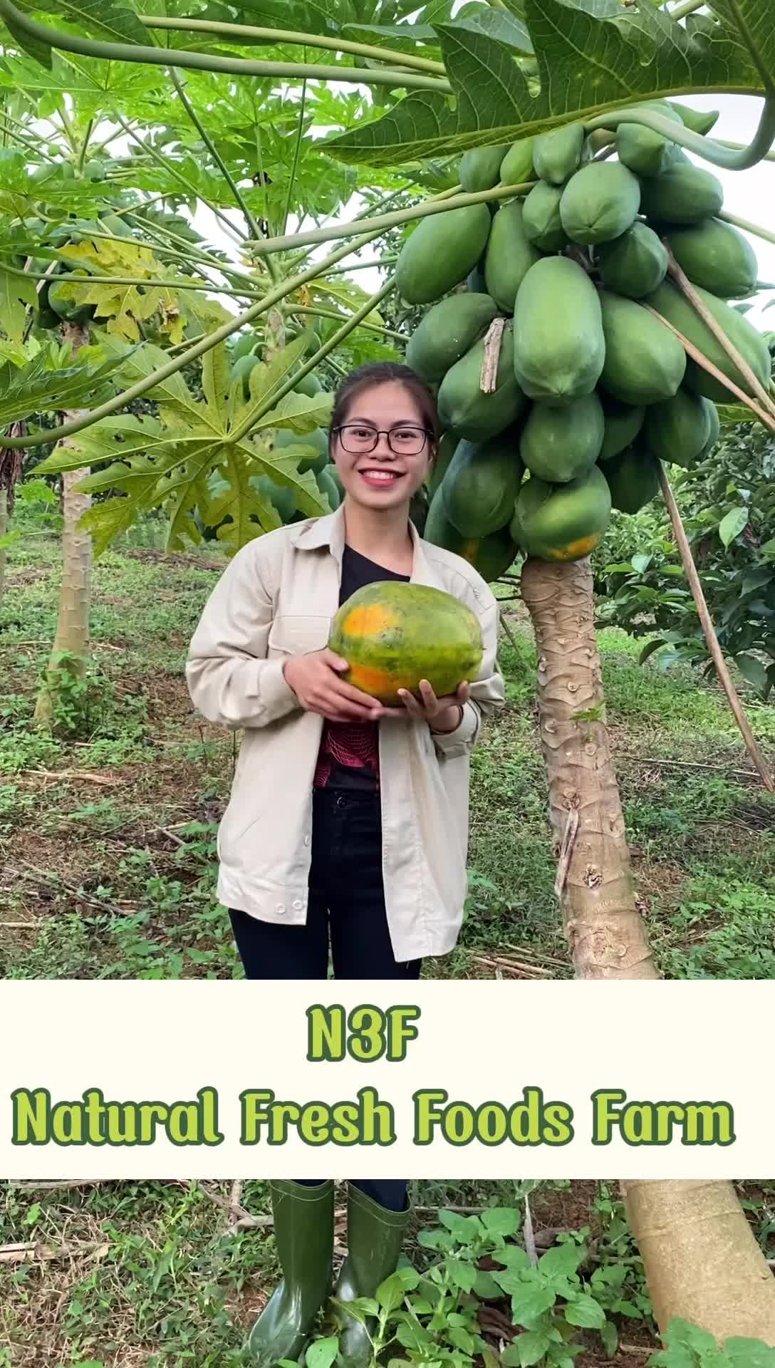N3F_Natural Fresh Foods Farm - Home
