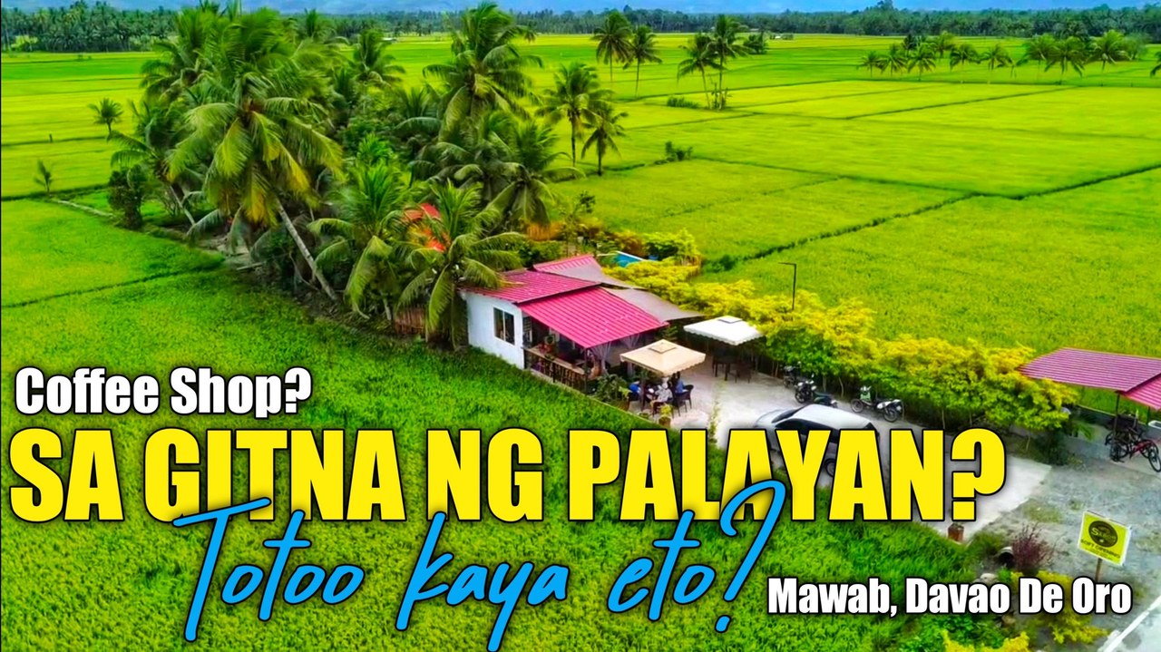 Farm View SABOR Cafe in the middle of rice field. Very cozy place and ...