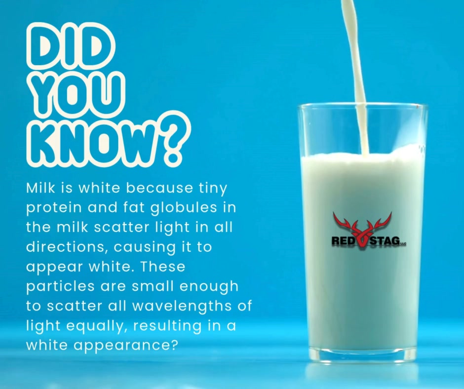 🥛 Why is milk white? Milk gets its white color from tiny protein