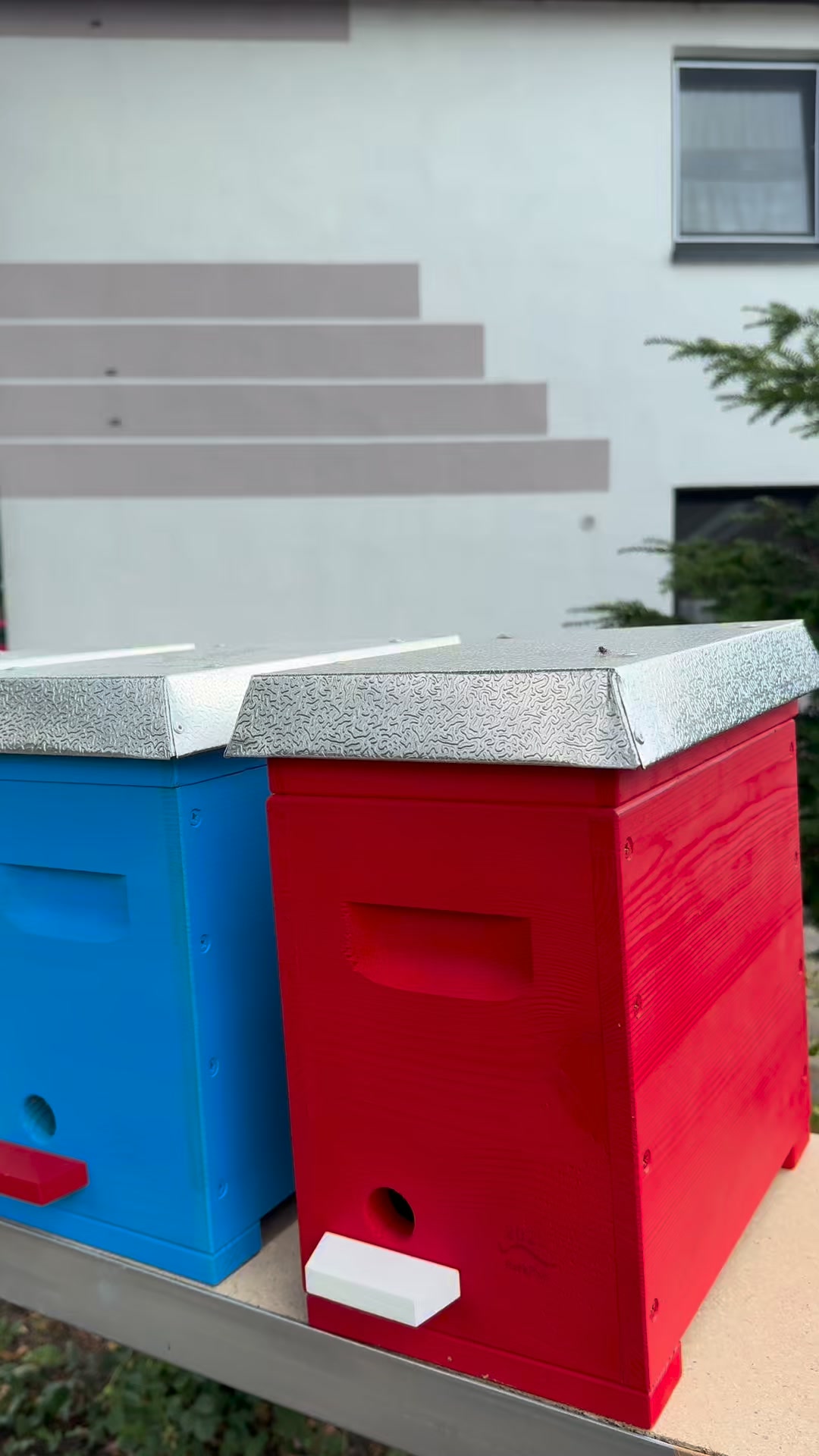 EWK Begattungskästchen für professionelle Königinnenzucht #EWK