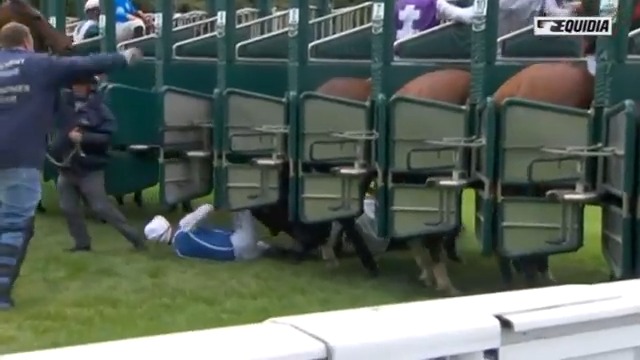 Panic Erupts as Horse Charges Crowd in Florennes