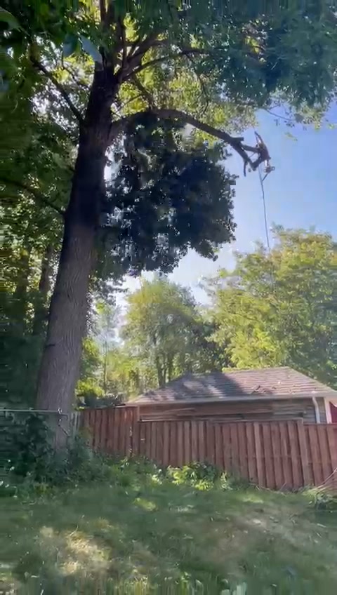 Royal Tree Service on Reels | Facebook