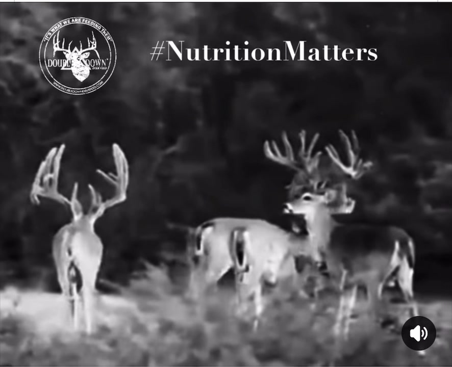 “It takes all year to grow a trophy….. least cost rations and fillers ...