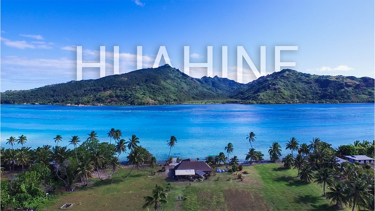 Ile De Te Fiti En Vrai