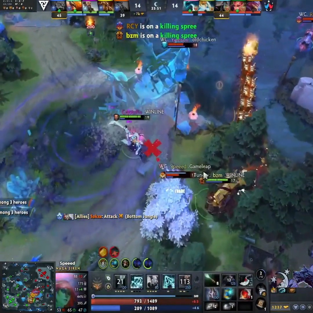 TUNDRA vs WILDCARD - WIINERS TO PLAYOFFS | Wallachia S5 | Dota 2