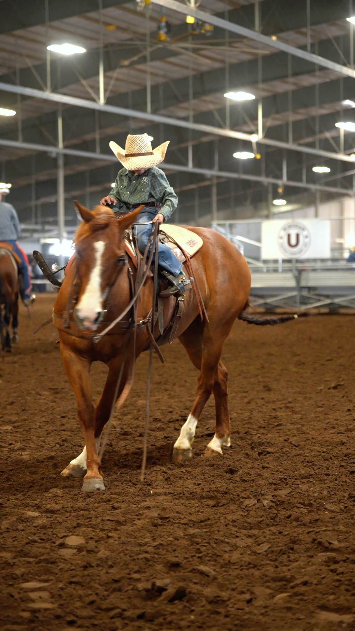 𝐇𝐈𝐆𝐇 𝐒𝐄𝐋𝐋𝐄𝐑 // $𝟕𝟑,𝟓𝟎𝟎 For the second year in a row Wilson Cattle Co ...