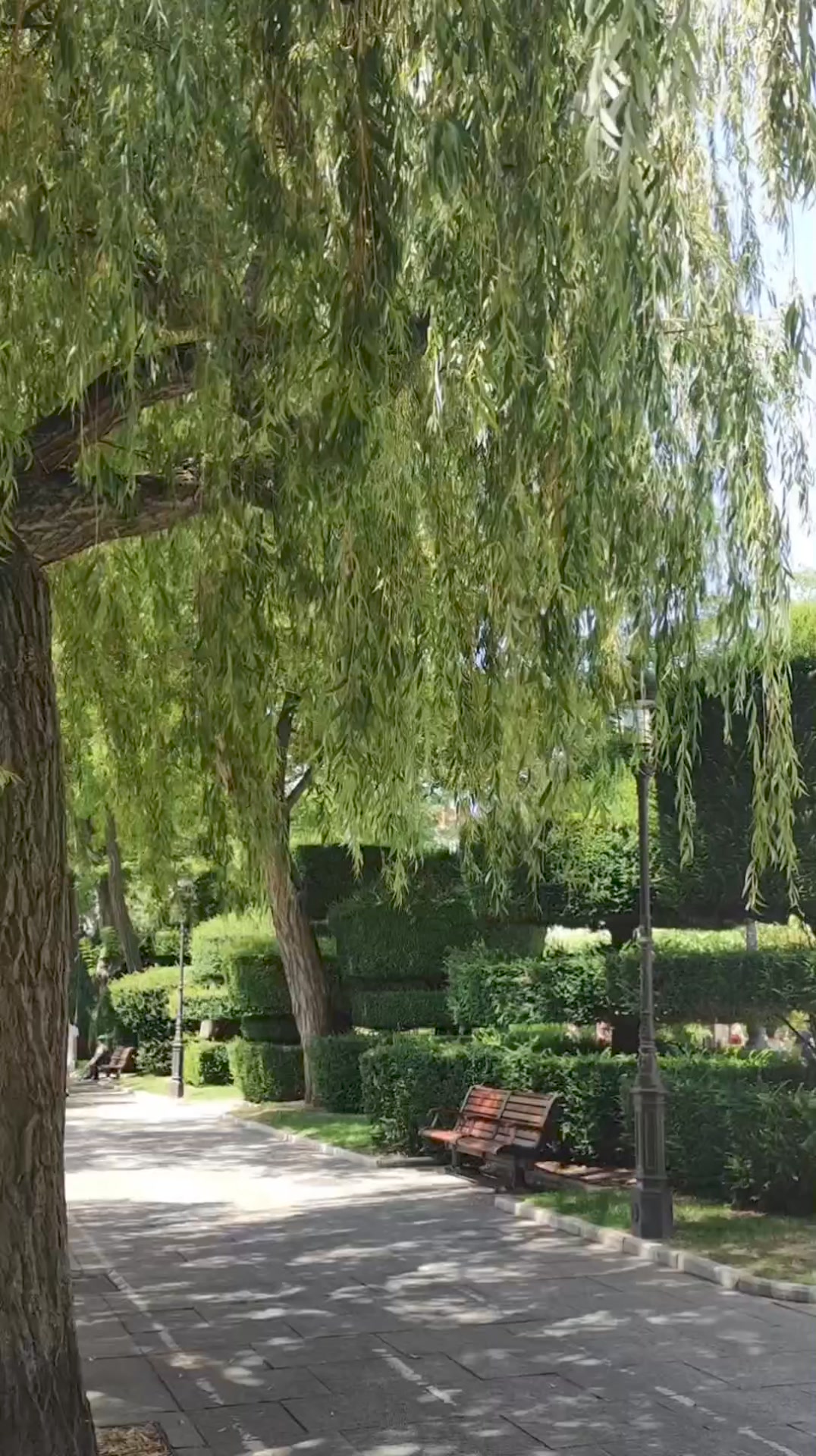 Relájate en el Paseo del Espolón