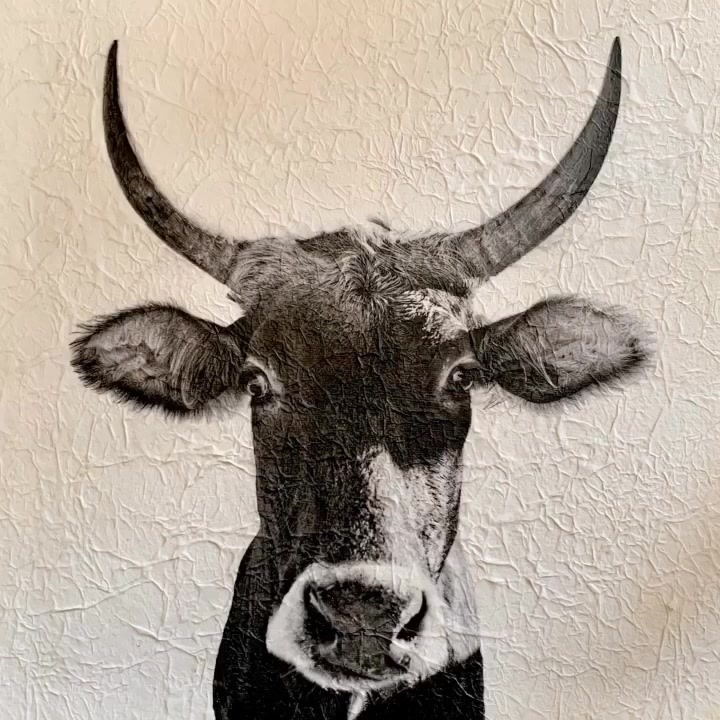 Something different. Yes . . . I painted a cow in 2011 for the