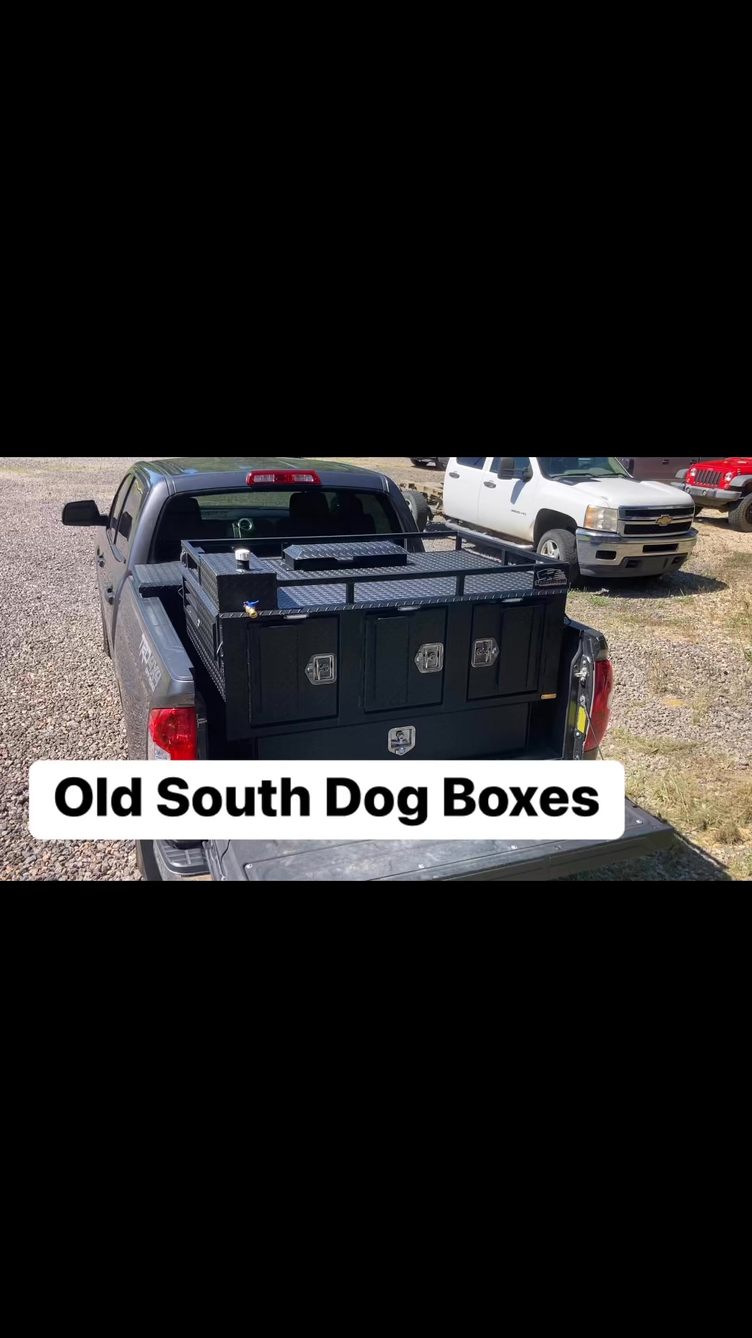 Custom dog box. Built to customers... - Old South Dog Boxes | Facebook