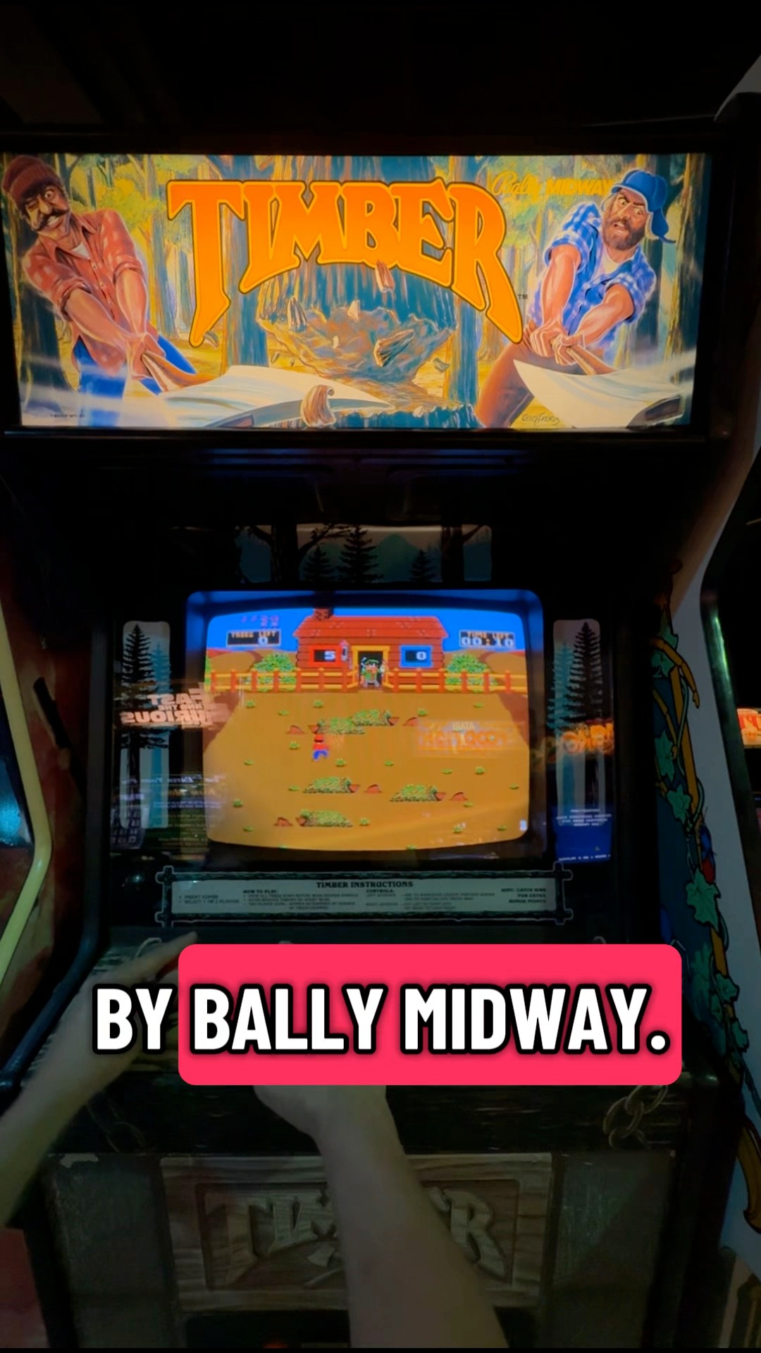 Timber! Taking a look at this RARE classic arcade from 1984
