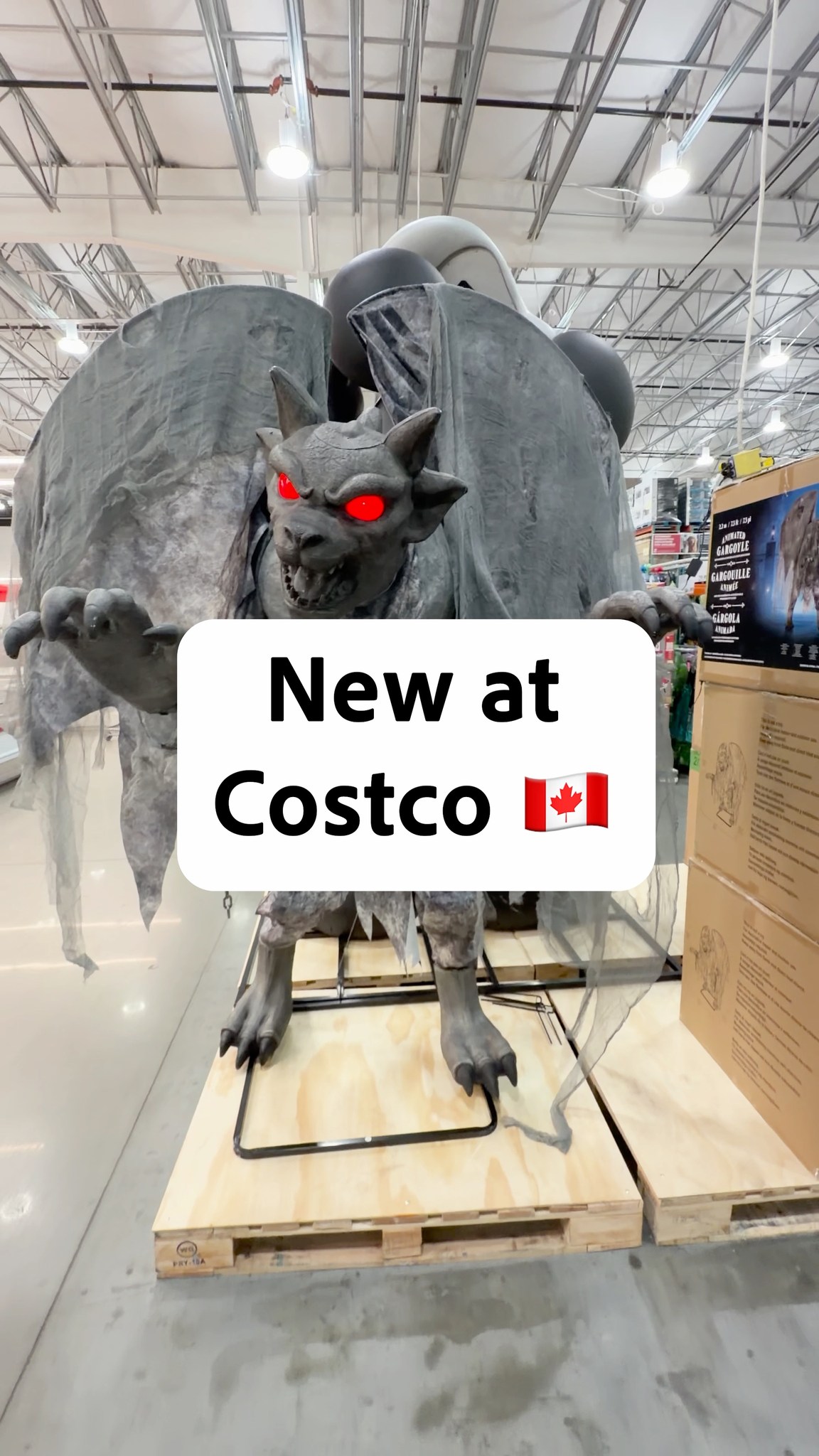 🗿 Animated Gargoyle (🇨🇦 Itm. 1851577) — a 7.3 ft motion