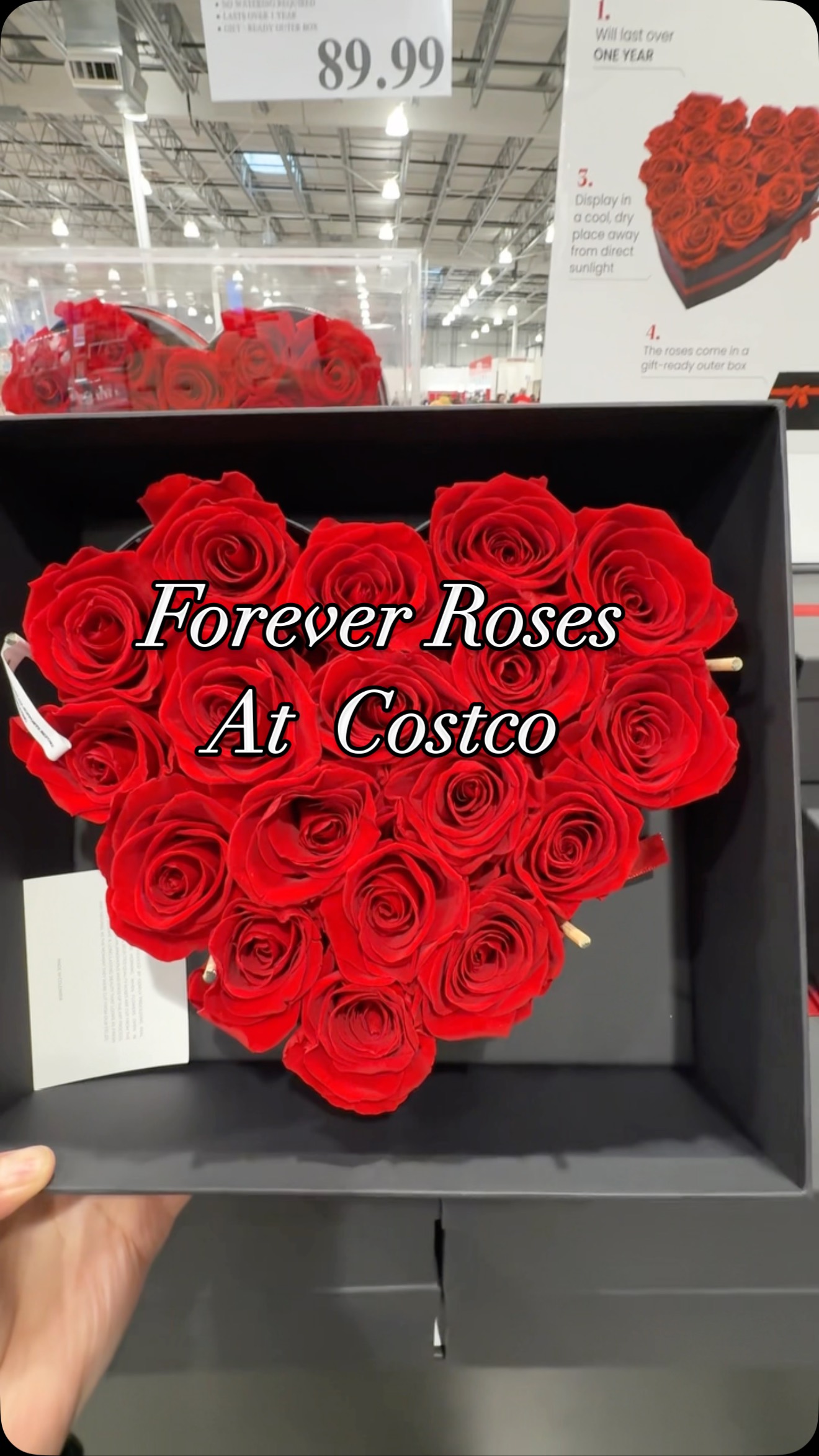 Have you spotted these beautiful forever Roses that are new at Costco ...